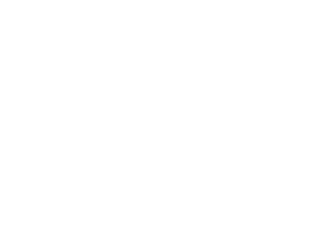 Logo Swarovski Optik