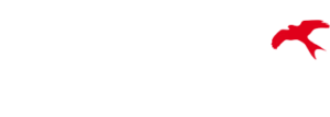Logo Kite Optik