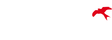 Logo Kite Optik